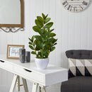 22” Zamioculcas Artificial Plant in White Planter
