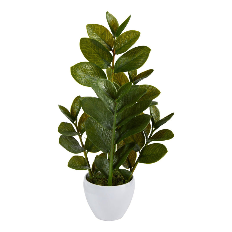 22” Zamioculcas Artificial Plant in White Planter