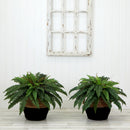 23" Artificial Boston Fern Plant with Handmade Jute & Cotton Basket DIY KIT - Set of 2