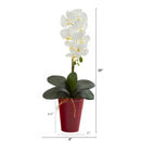 23” Phalaenopsis Orchid Artificial Arrangement in Vase
