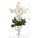 23” Phalaenopsis Orchid Artificial Arrangement in White Urn