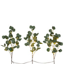 23” Pre-Lit 36 LED Artificial Eucalyptus Branch Stems - Set of 3
