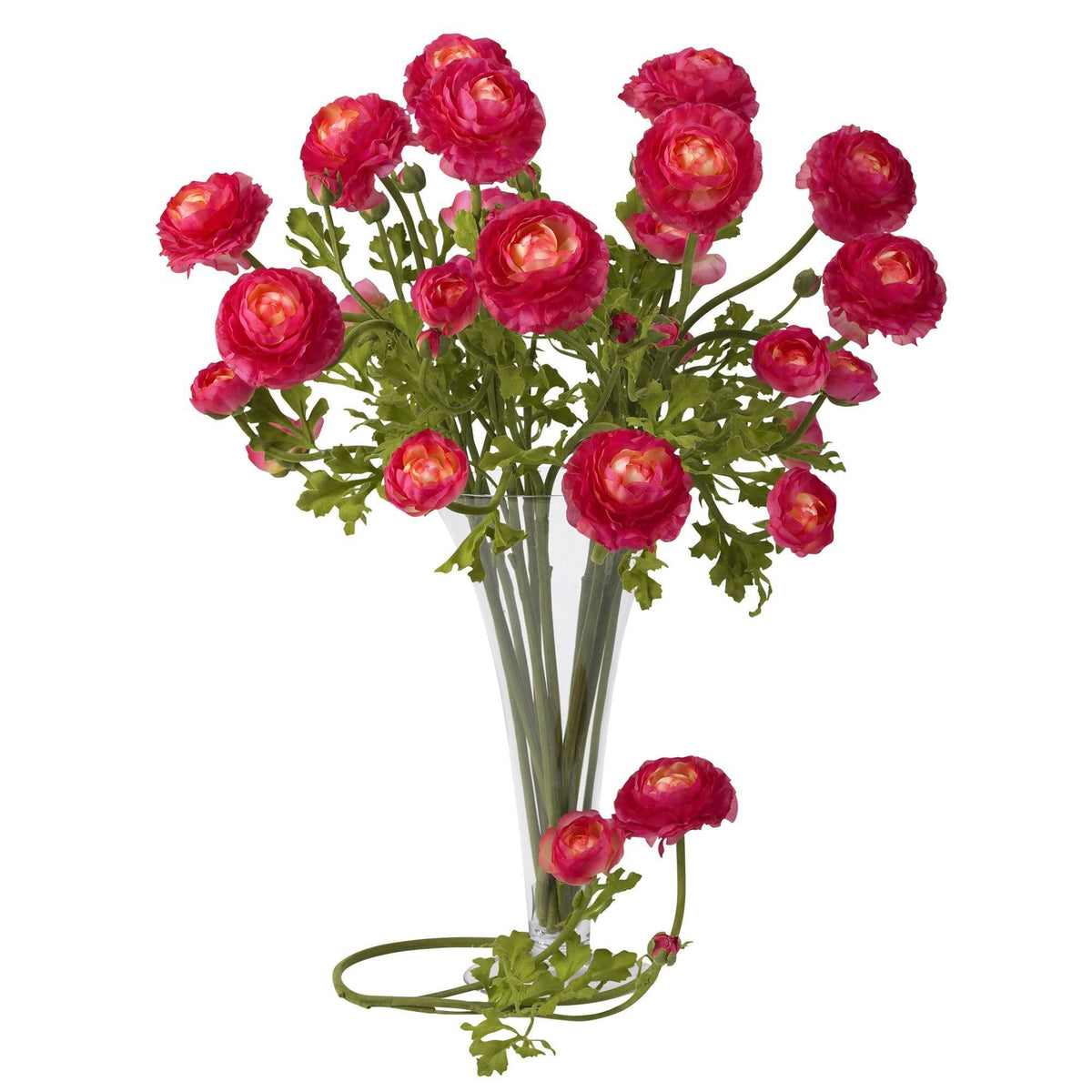 23" Ranunculus Stem (Set of 12)", photo 2 of 12