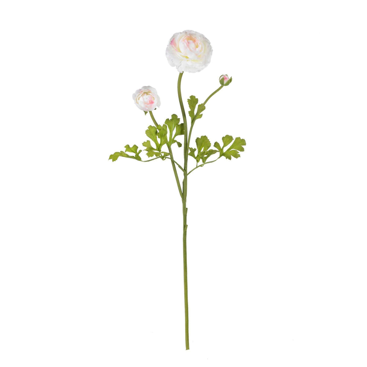 23" Ranunculus Stem (Set of 12)", photo 9 of 12
