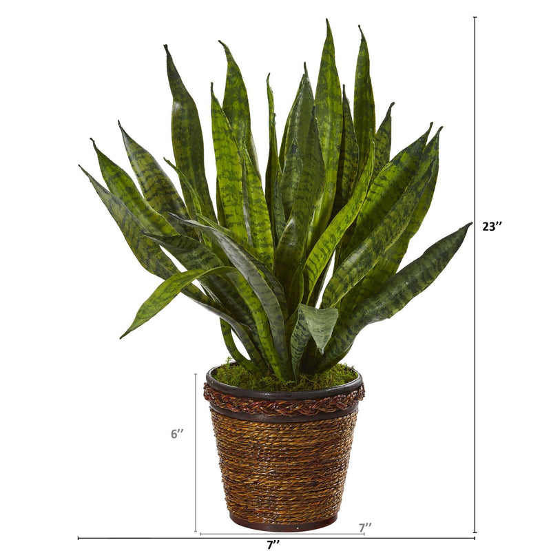 23” Sansevieria Artificial Plant in Basket, photo 2 of 2