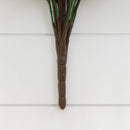 23” Sweet Grass Bush (Set of 2) (Indoor/Outdoor)
