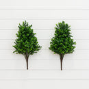 23” Sweet Grass Bush (Set of 2) (Indoor/Outdoor)