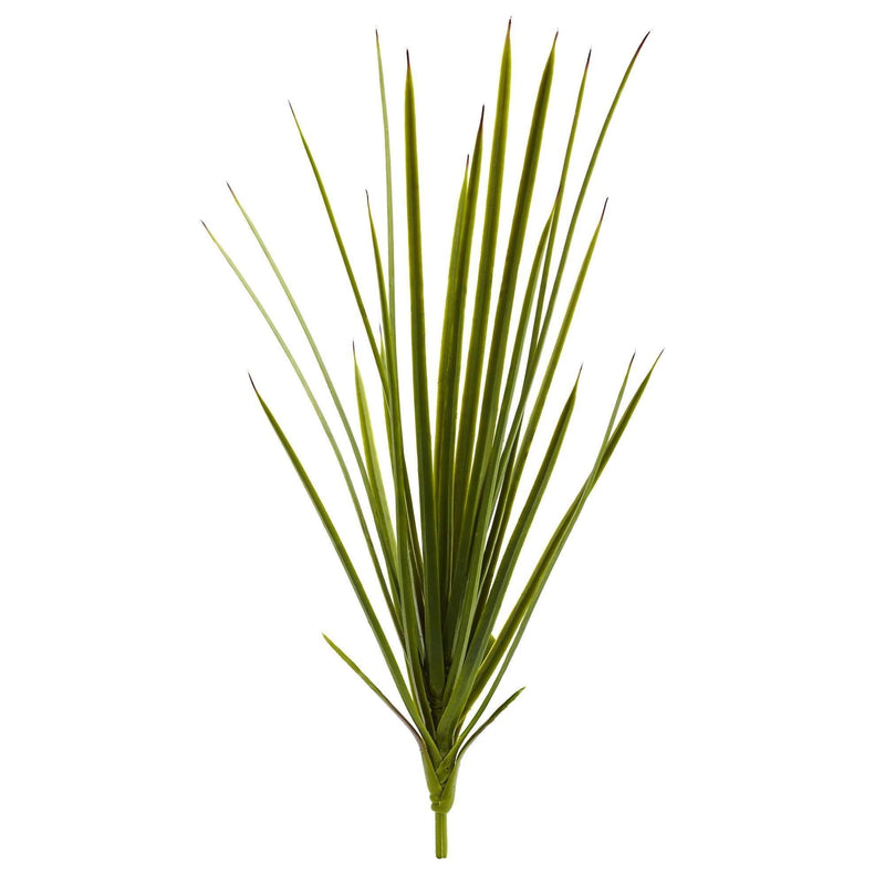 23”Agave Schottii (Set of 3)