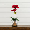 24” Amaryllis w/Vase by Nearly Natural