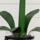 24” Amaryllis w/Vase by Nearly Natural