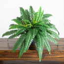 24” Artificial Self-Shaped Boston Fern Plant in Black Planter