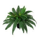 24” Artificial Self-Shaped Boston Fern Plant in Black Planter