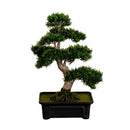 Cedar Bonsai 24" Silk Plant" by Nearly Natural