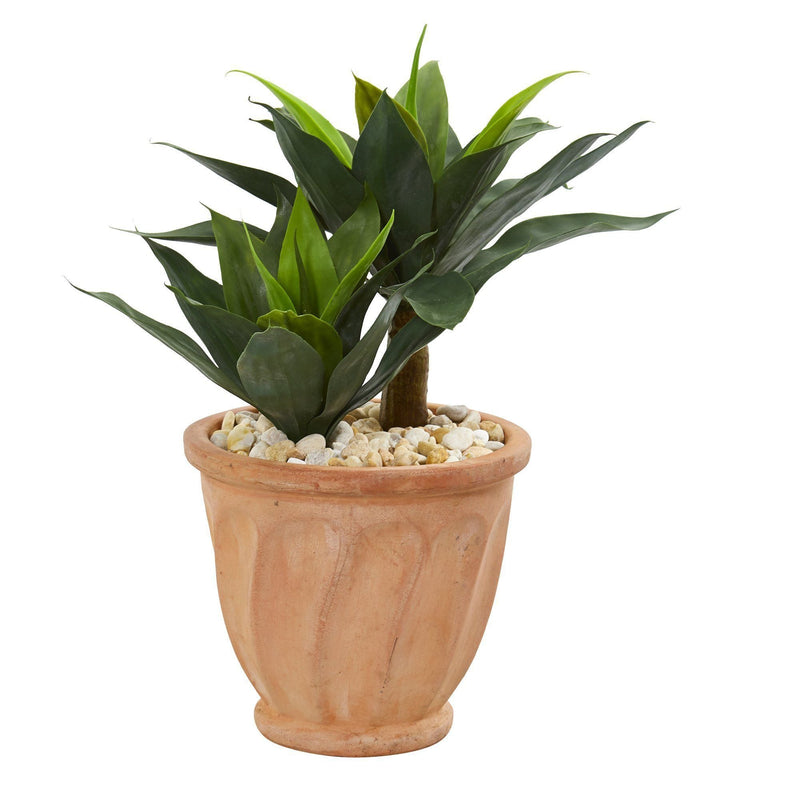 24” Double Agave Artificial Plant in Terra Cotta Planter, photo 2 of 2