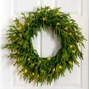 24" Pre-Lit Artificial Real Touch Norfolk Island Pine Wreath with 50 Warm White LED Lights and Natural Look