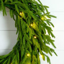 24" Pre-Lit Artificial Real Touch Norfolk Island Pine Wreath with 50 Warm White LED Lights and Natural Look