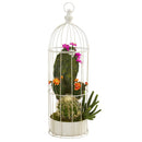 24” Mixed Cactus Succulent Artificial Plant in Decorative Cage