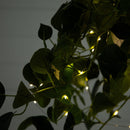 24” UV Resistant Artificial Philodendron with 50 Warm White LED Lights in White Hanging Basket