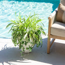 24" UV Resistant Artificial Spider Bush (Indoor/Outdoor) - Set of 3