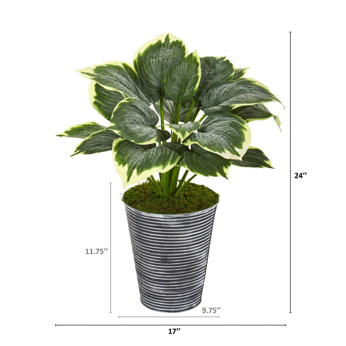 24” Variegated Hosta Artificial Plant in Tin Planter, photo 2 of 2
