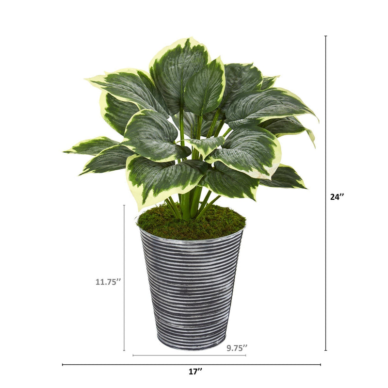 24” Variegated Hosta Artificial Plant in Tin Planter, photo 2 of 2
