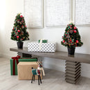 24in. Pre-Lit Fiber Optic Cosmopolitan Star Topped Artificial Christmas Tree with Decorative Planter