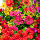 24" UV Resistant Artificial Daisy Hanging Basket DIY Kit (Indoor/Outdoor)