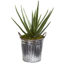 25” Aloe Artificial Plant in Vintage Metal Bucket