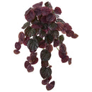 25” Peperomia Artificial Hanging Bush (Set of 6) (Real Touch)