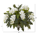 25” Phalaenopsis Orchid and Holly Fern Plant in Hanging Bowl