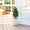 2.5' UV Resistant Artificial Boxwood Plant with Integrated Ground Stake (Indoor/Outdoor) - Set of 2