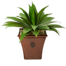 26” Agave Succulent Artificial Plant in Brown Planter