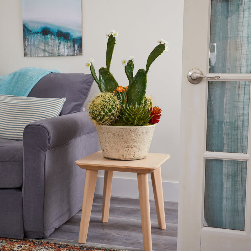 26” Cactus Garden Artificial Plant in White Planter, photo 3 of 3
