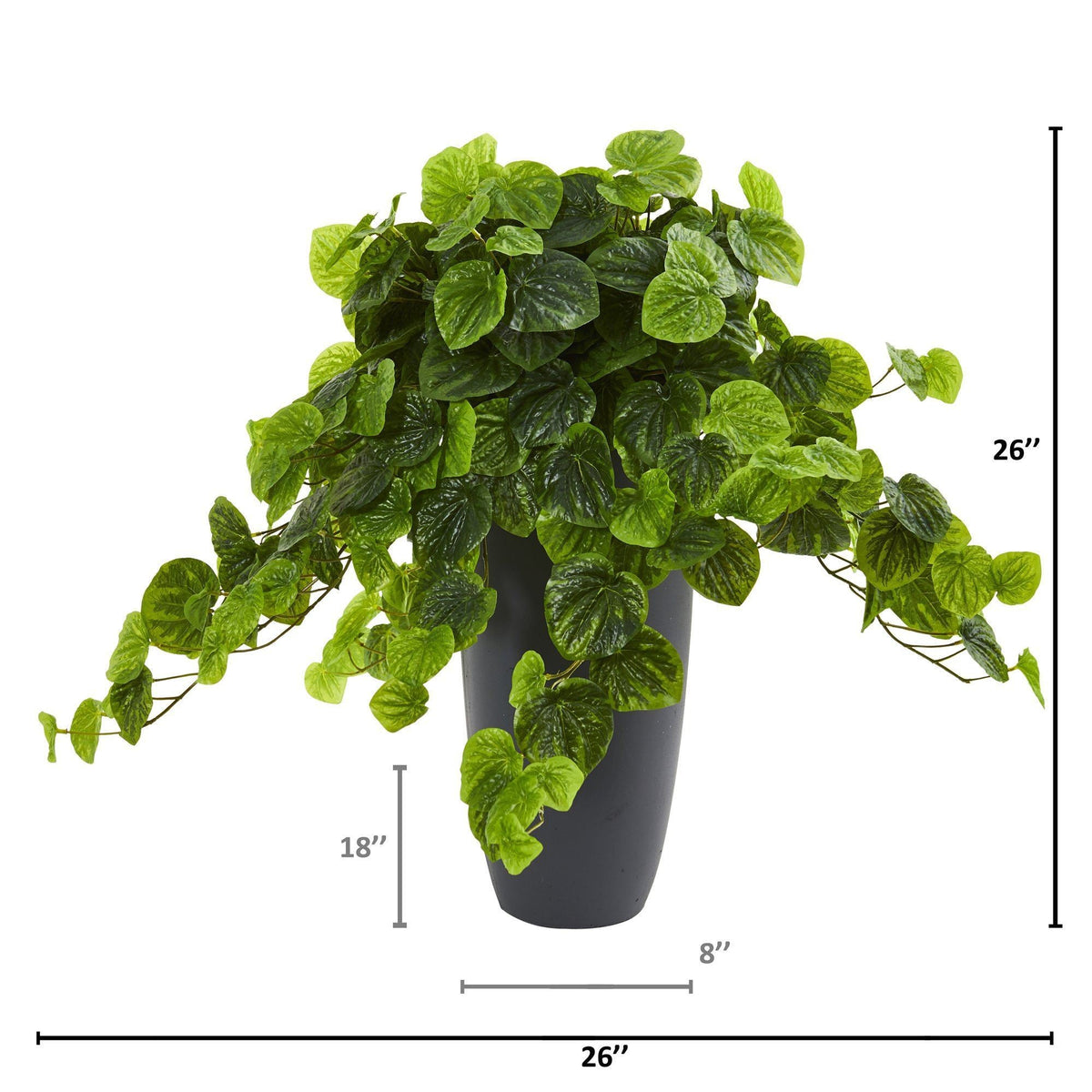 26” Peperomia Artificial Plant in Decorative Planter (Real Touch), photo 4 of 4