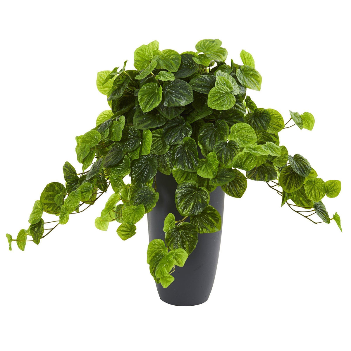 26” Peperomia Artificial Plant in Decorative Planter (Real Touch), photo 3 of 4