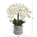 26” Phalaenopsis Orchid Artificial Arrangement in Stoneware Vase with Gold Trimming