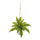 26” Watermelon Peperomia and Fern Artificial Plant in Hanging Bucket (Set of 2)