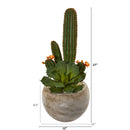 27” Mixed Succulent Artificial Plant in Sand Colored Planter