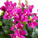 Artificial Bougainvillea Hanging Basket UV Resistant (Indoor/Outdoor) by Nearly Natural