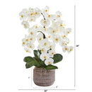 28” Phalaenopsis Orchid Artificial Arrangement in Stoneware Vase