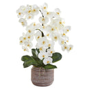 28” Phalaenopsis Orchid Artificial Arrangement in Stoneware Vase