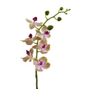 29” Phalaenopsis Orchid Artificial Flower (Set of 4)