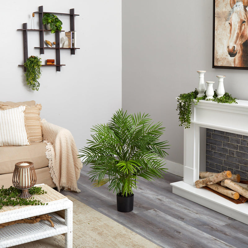 3' Areca Silk Palm Tree, photo 4 of 7