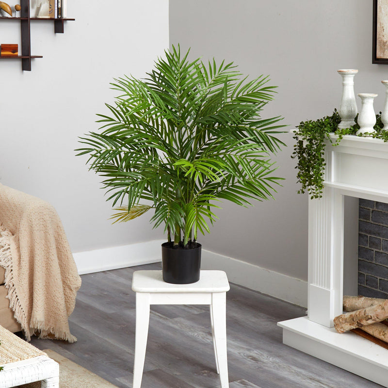 3' Areca Silk Palm Tree