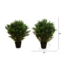 3’ Cedar Bush UV Resistant (Indoor/Outdoor) - Set of 2