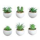 3" Artificial Mini Succulent Plants in Decorative White Oval Planters - Set of 6