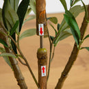3’ Artificial Olive Tree with Natural Trunk by Nearly Natural