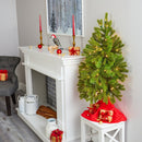 3' Cambridge Spruce Flat Back Artificial Christmas Tree with 50 Warm White (Multifunction) LED Lights and 113 Bendable Branches