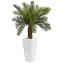 3’ Cycas Tree in White Tower Planter