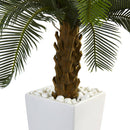 3’ Cycas Tree in White Tower Planter